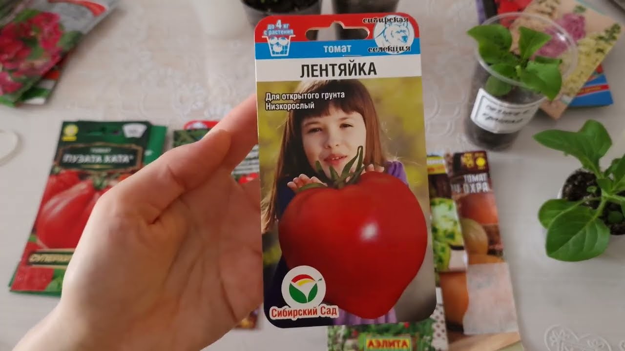Какие перцы и томаты буду сеять в сезон 2026. Перевалка петуньи.