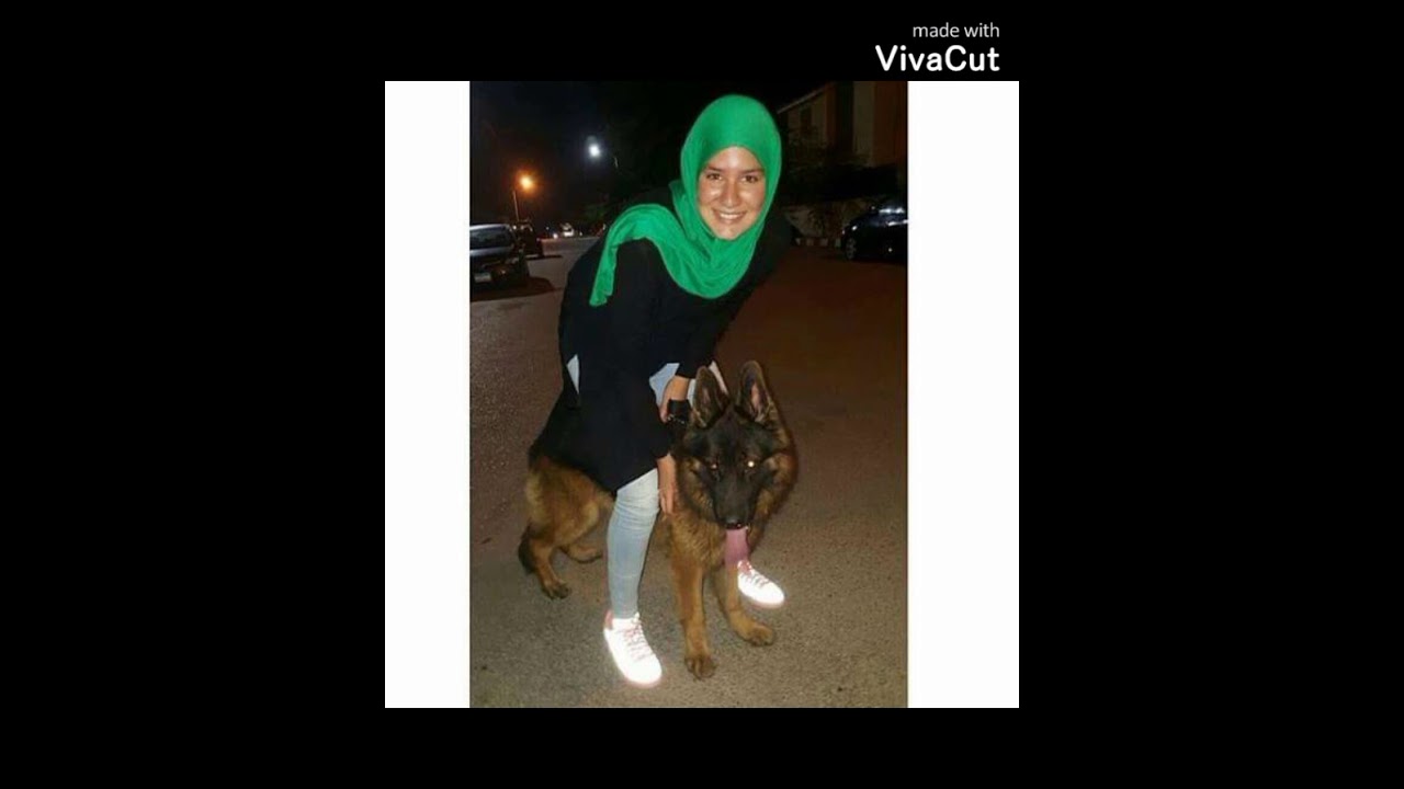 رمضان طموح و حبيبه #لايك#اشتراك#طلب toka samir