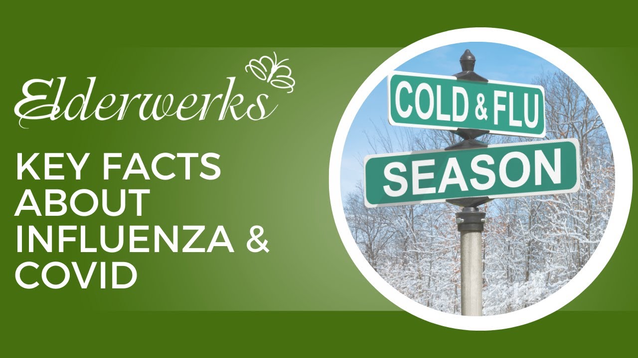 Key Facts about Influenza & Covid | Elderwerks