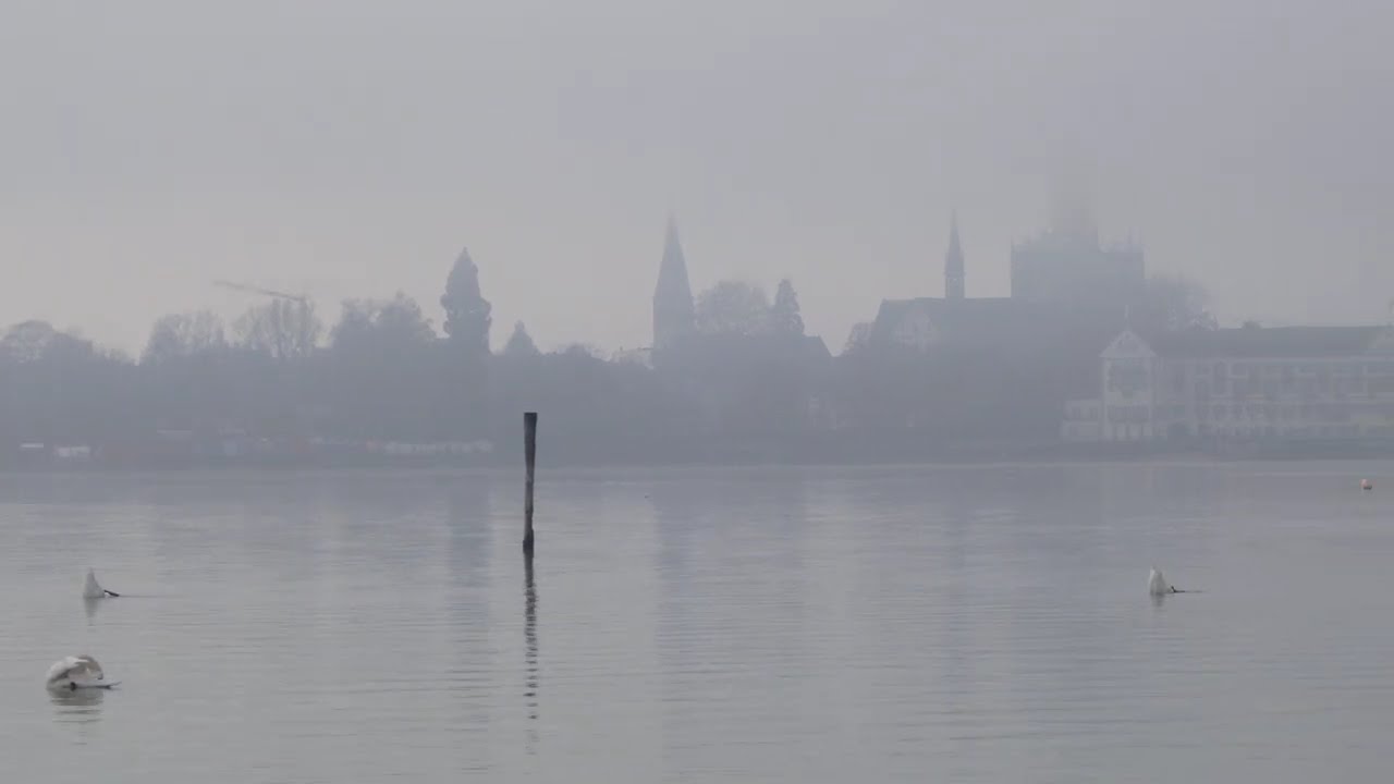 Into the grey wide open...endless fog over Lake Constance