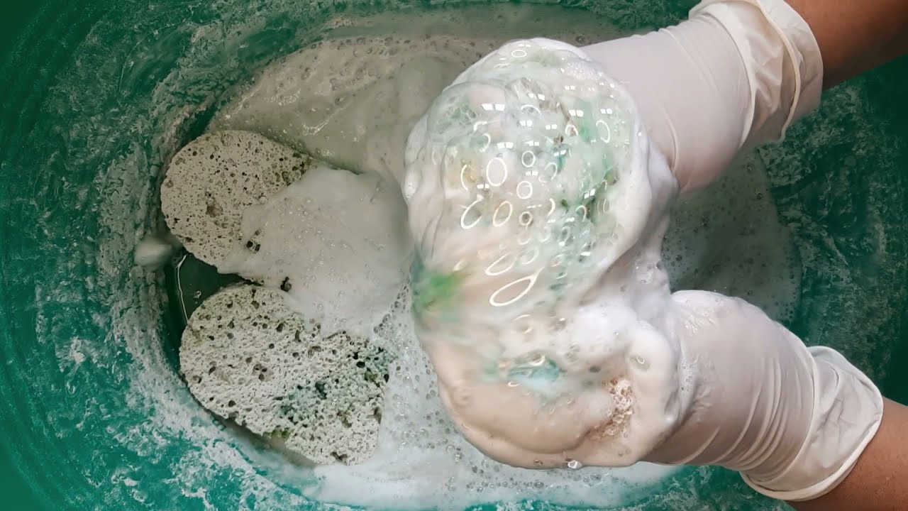 asmr pine cleaner and dish soap sponge squeezing