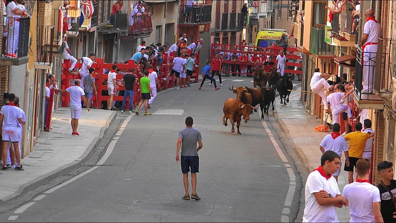 4) ENCIERRO CORTO, GANADERIA MERINO DE MARCILLA (NAVARRA), FITERO 17-9-2019