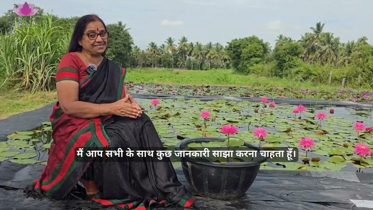 Pink Silk Water Lily | ISG | Lilypond Store
