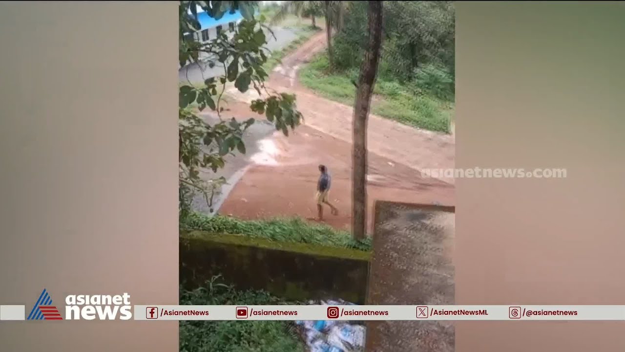 ആനയുടെ ചവിട്ടേറ്റ് മരിച്ച ജോസിനോട് ഓടിമാറാൻ നാട്ടുകാർ ആവശ്യപ്പെടുന്നതിന്റെ വീഡിയോ പുറത്ത് | Ulikkal