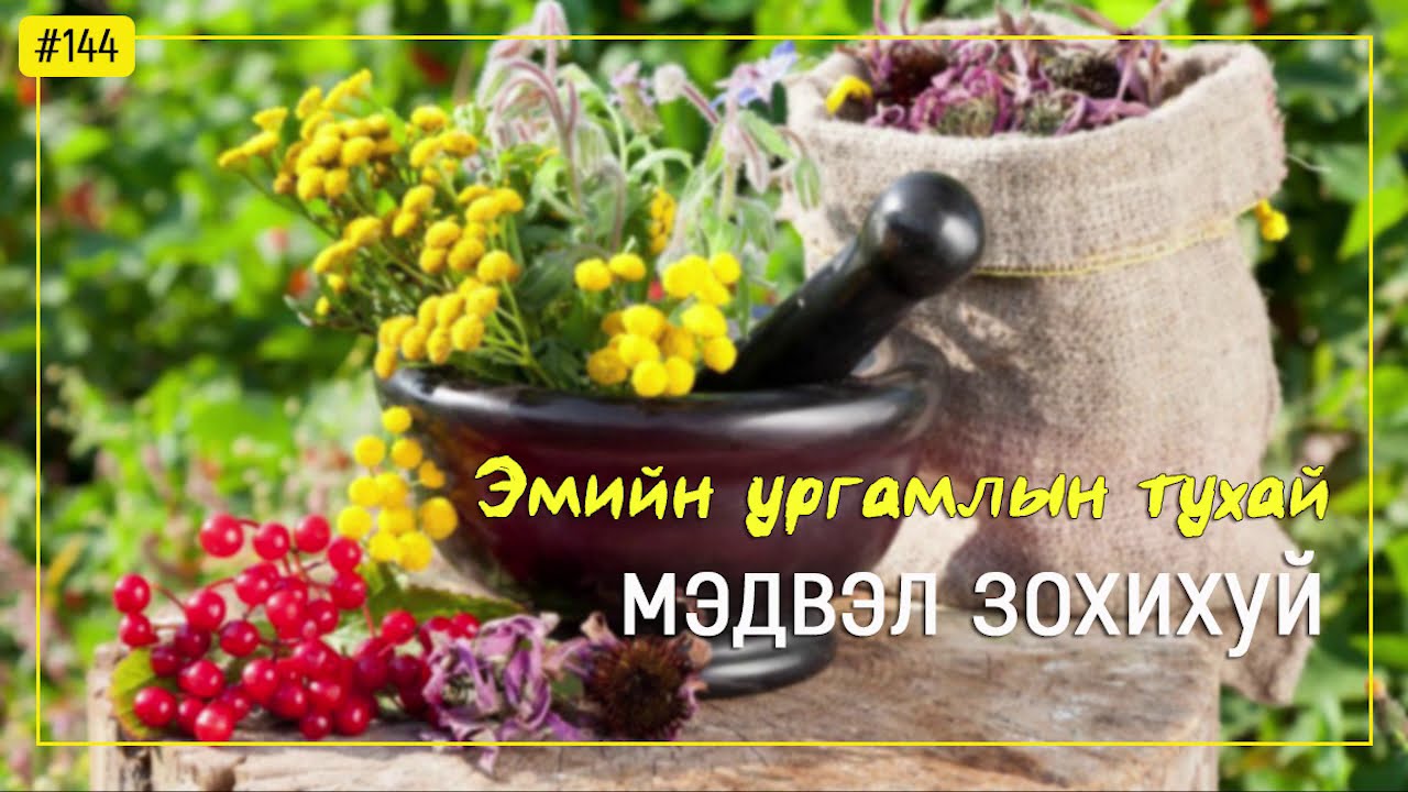 ЗӨВ ҮҮ? ТАВ УУ? #144. Эмийн ургамлын тухай мэдвэл зохихуй