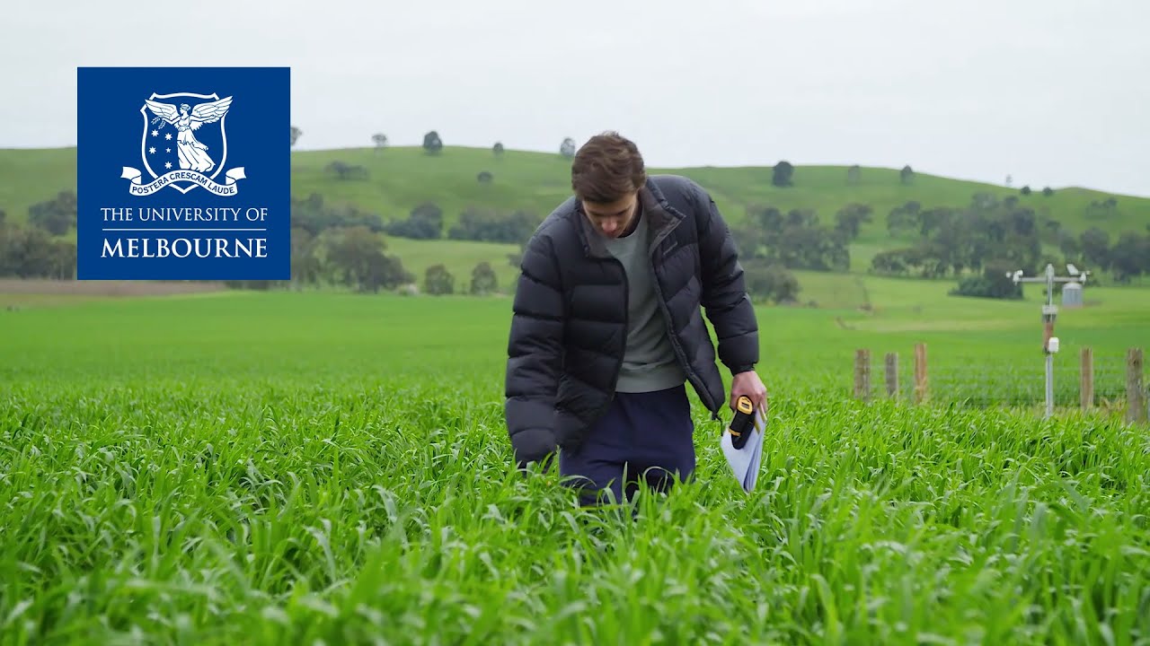 The University of Melbourne Bachelor of Agriculture