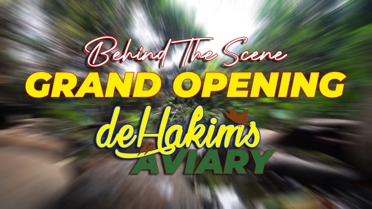 INI BUKANLAH AKHIR, INI ADALAH AWAL. BANYAK CERITA DI BALIK GRAND OPENING AVIARY...