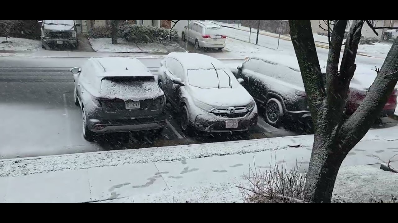 Snowfall transforms Herndon, Virginia into a quiet, dreamy winter scene(హెర్న్‌డాన్‌లో హిమపాతం)