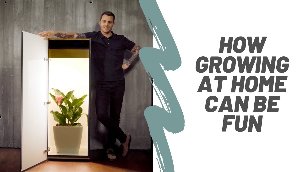 Grow at home - stealthy and without compromise