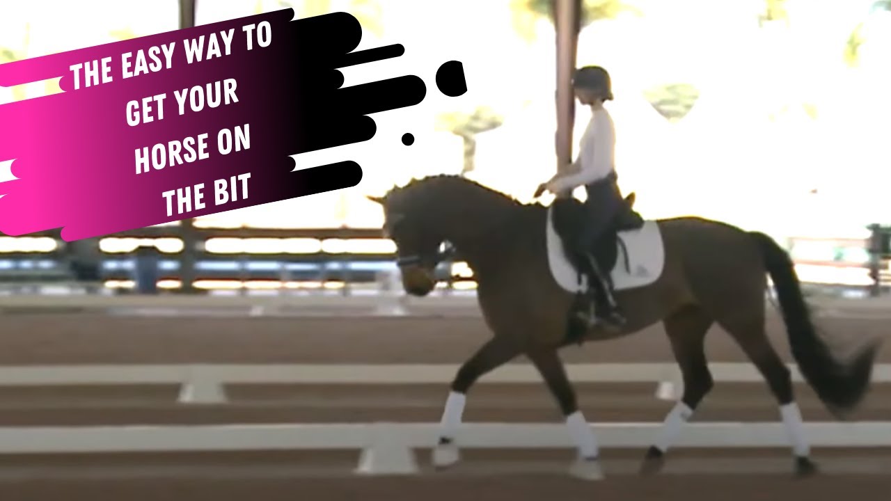 Dressage Exercise: The EASY Way To Get Your Horse On The Bit!