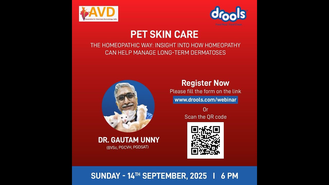 IAVD Drools webinar 14-09-2025