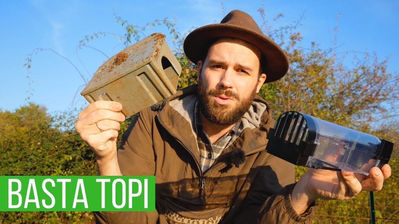 Topi nel pollaio: ecco la mia soluzione