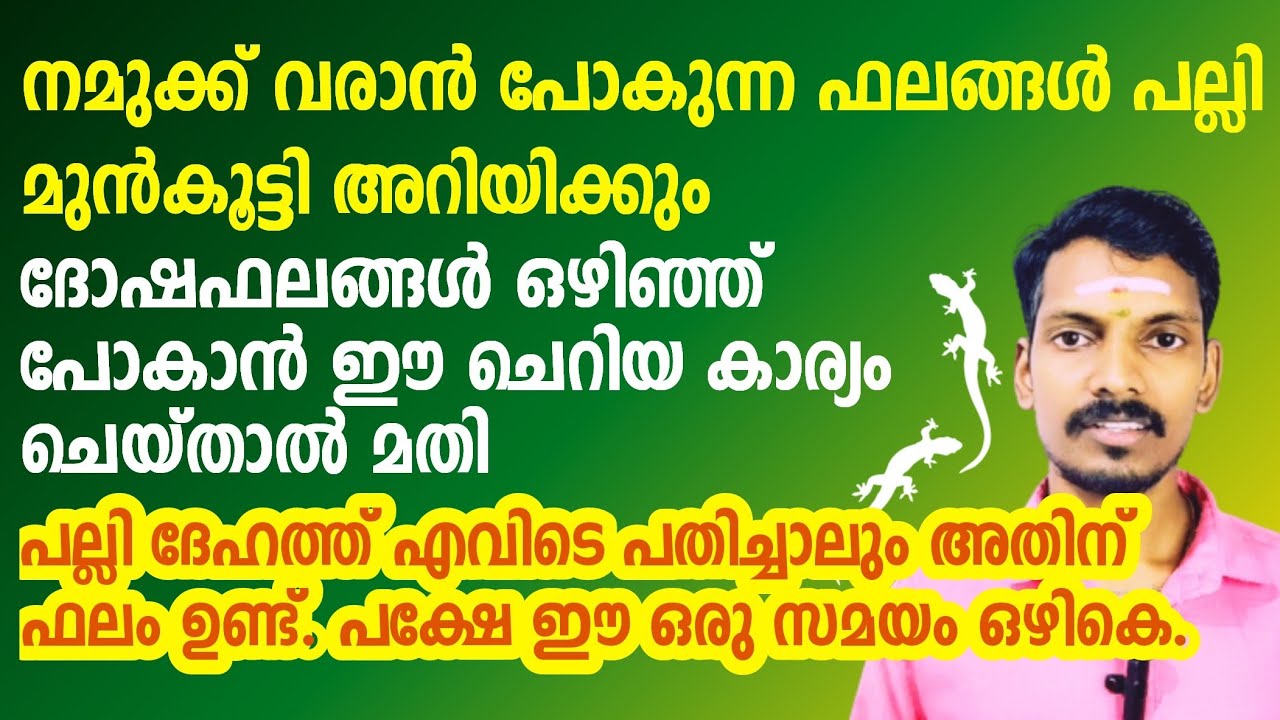 പല്ലി നമുക്ക് നൽകുന്ന സൂചനകൾ അറിയാം.ദോഷം മാറാൻ ഈ ചെറിയ കാര്യം ചെയ്താൽ മതി.