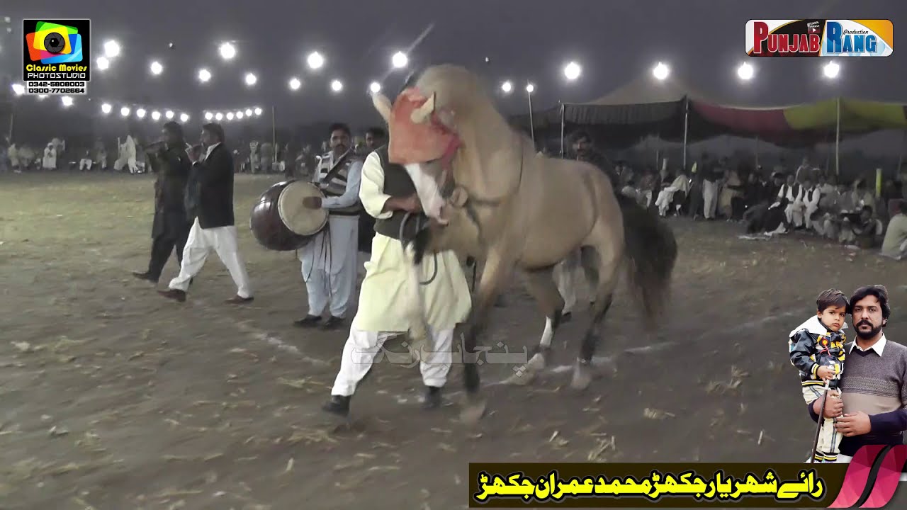 Koh e Noor l Shekho l Horse Dance l 24 November 2020 l Jakhar Kamalia l Jakhar 32