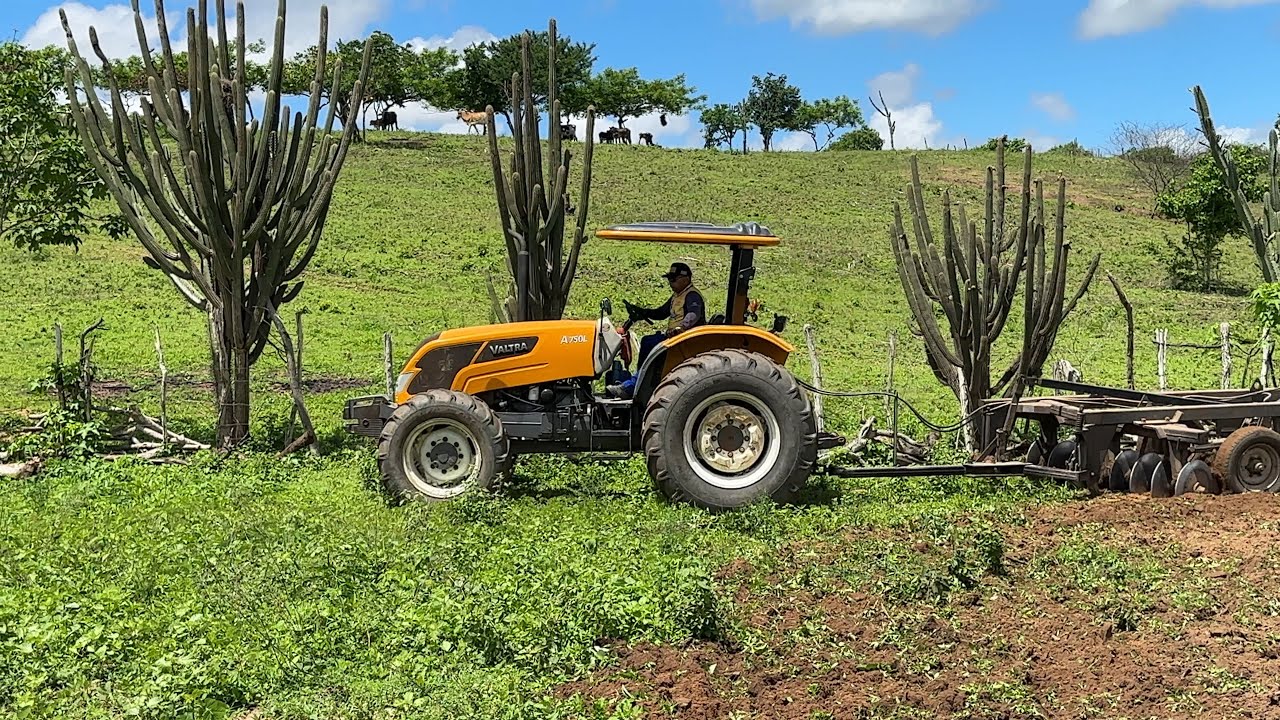 Trator valtra gradeando terra no alto grande em Araruna pb