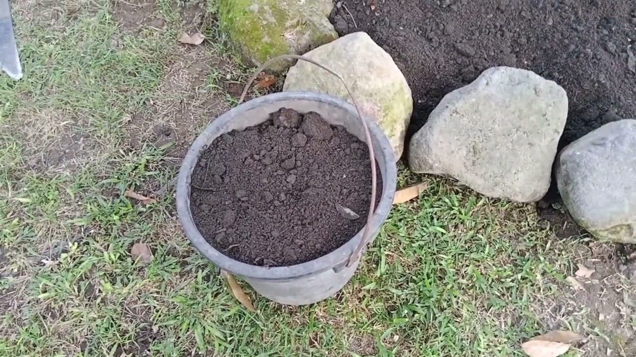 fat soil