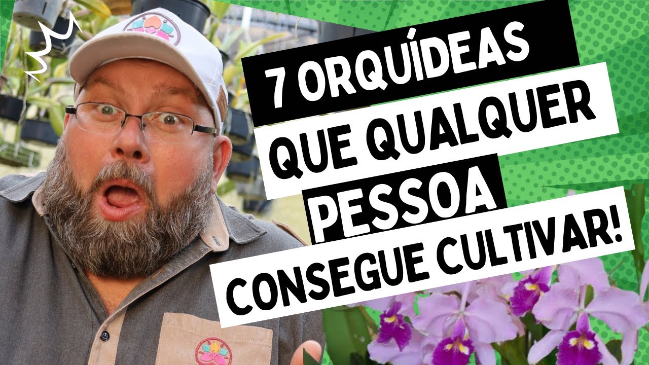 TOP 7 ORQUÍDEAS MAIS FÁCIL DE CUIDAR EM CASA