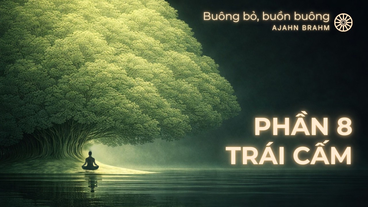 [PHẦN 8] Buông Bỏ Buồn Buông – “Trái Cấm” | Trích sách Ajahn Brahm