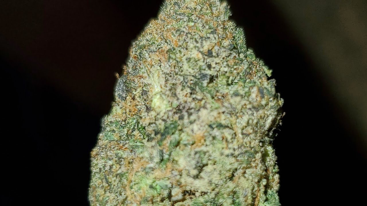 GEORGIA PIE STRAIN WAKE AND BAKE STYLE