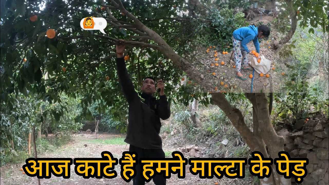 #jaidevbhumiuttrakhand #rovinpahadiuk09 