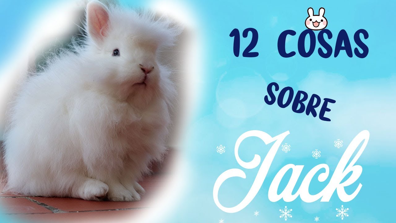 12 cosas sobre... ¡JACK!