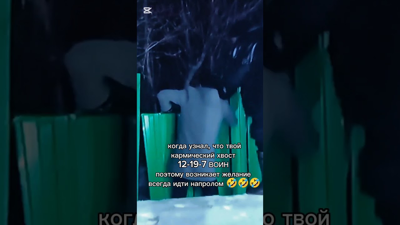 У Александра Шепса кармический хвост 