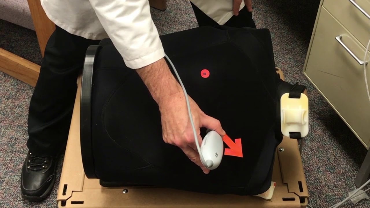 cardiac ultrasound: probe positioning and views for ECHO