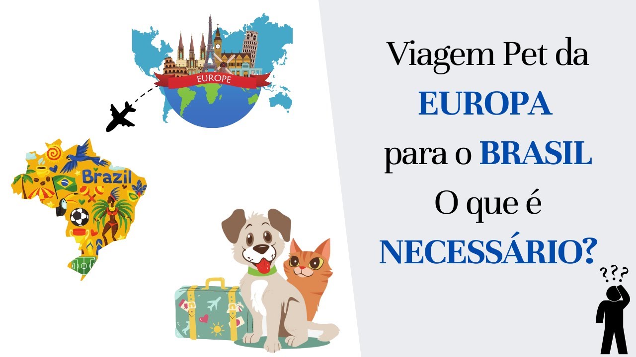 VIAGEM PET da Europa para o Brasil. Documentos e Procedimentos Necessários - Cães e Gatos - Dica#29