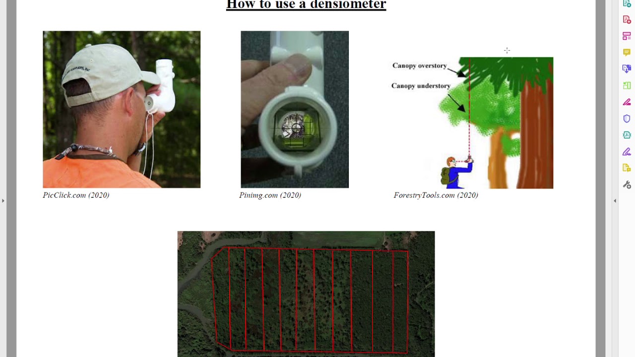 How to use a densiometer