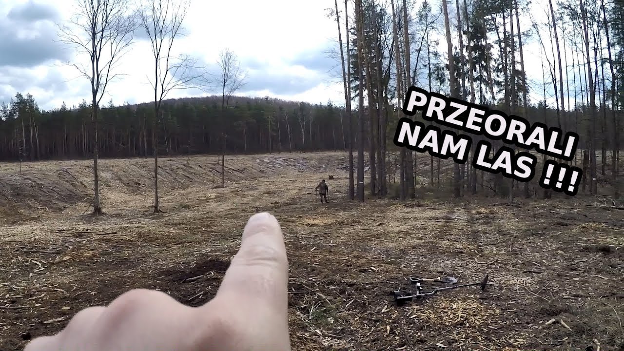 Super warunki do poszukiwań dzięki wycince 74 pp. Odc.309