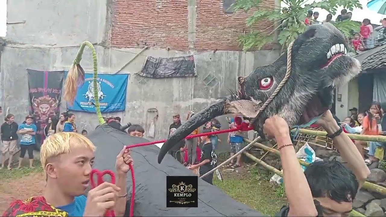HEBOH!!!KALAPAN SINGO PANDANREJO SAMPAI KELUAR PAGAR PENONTON KOCAR KACIR