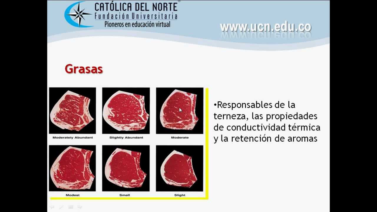 Características de la carne