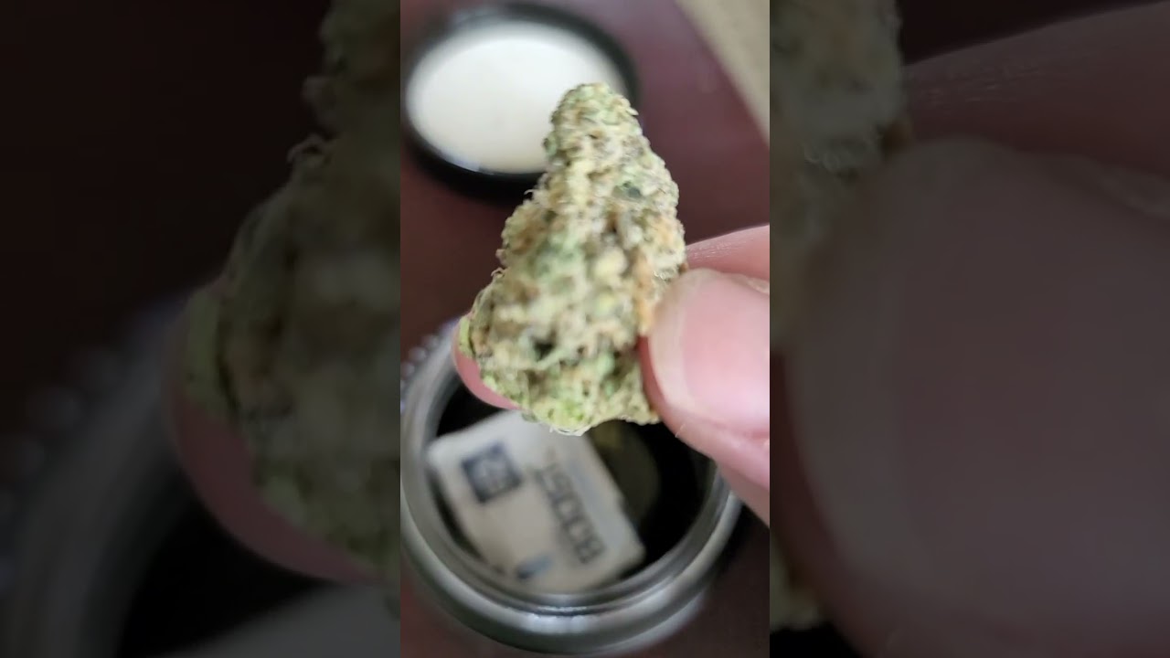 Banana Cream Rythm Medical Marijuana review. This is Amazing!!