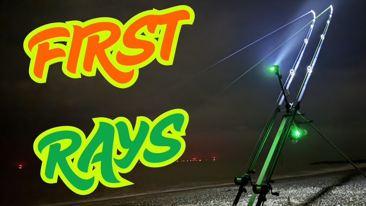 RETURN of the RAYS | Holland on sea | UK sea  fishing