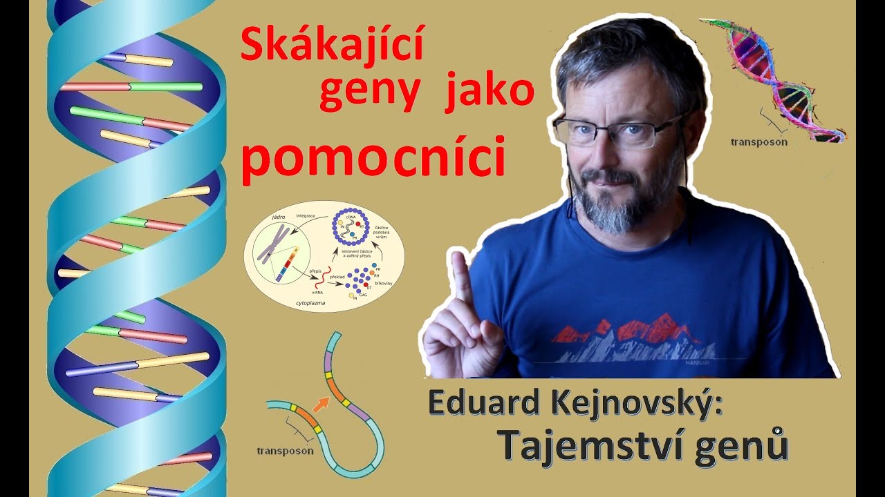 Skákající geny jako pomocníci (Tajemství genů 22)