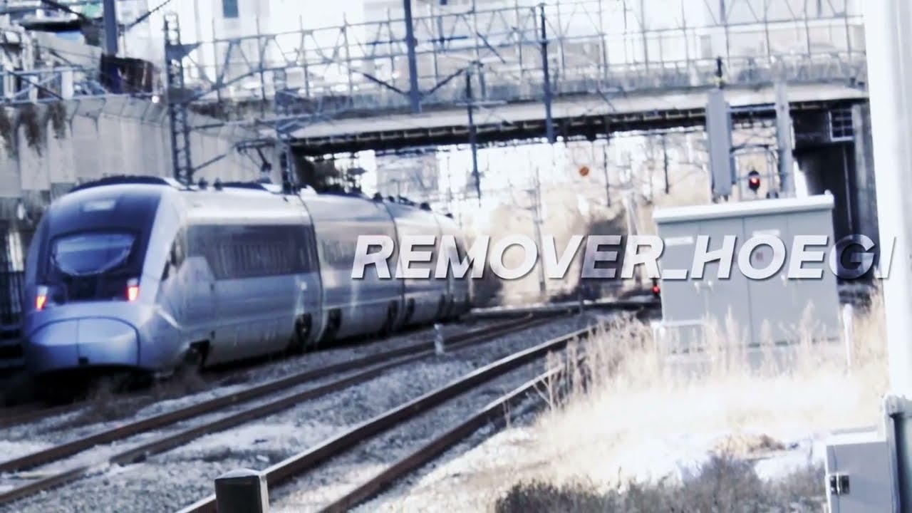 REMOVER_HOEGI