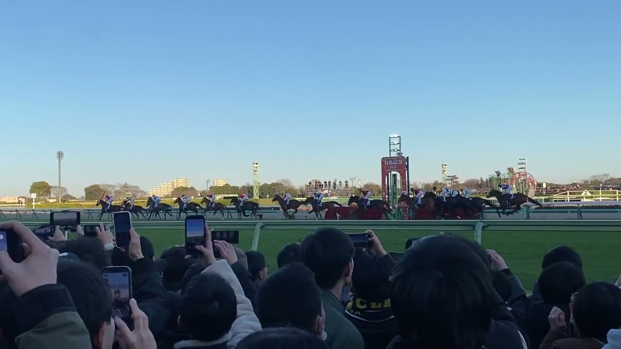 有馬記念2025 現地観戦 ◎ミュージアムマイル 〇ダノンデサイル 穴コスモキュランダで見事的中🎯