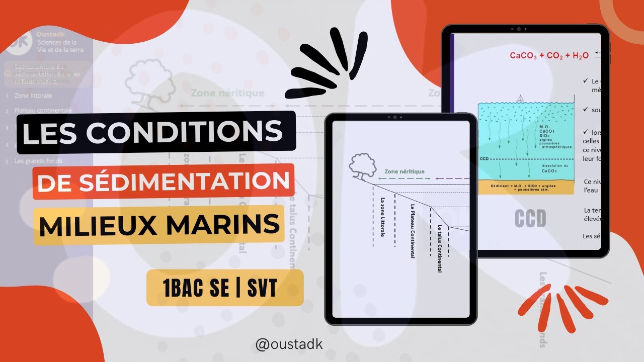 1BAC SE | Chap I : Les conditions de sédimentation dans les milieux marins - CCD
