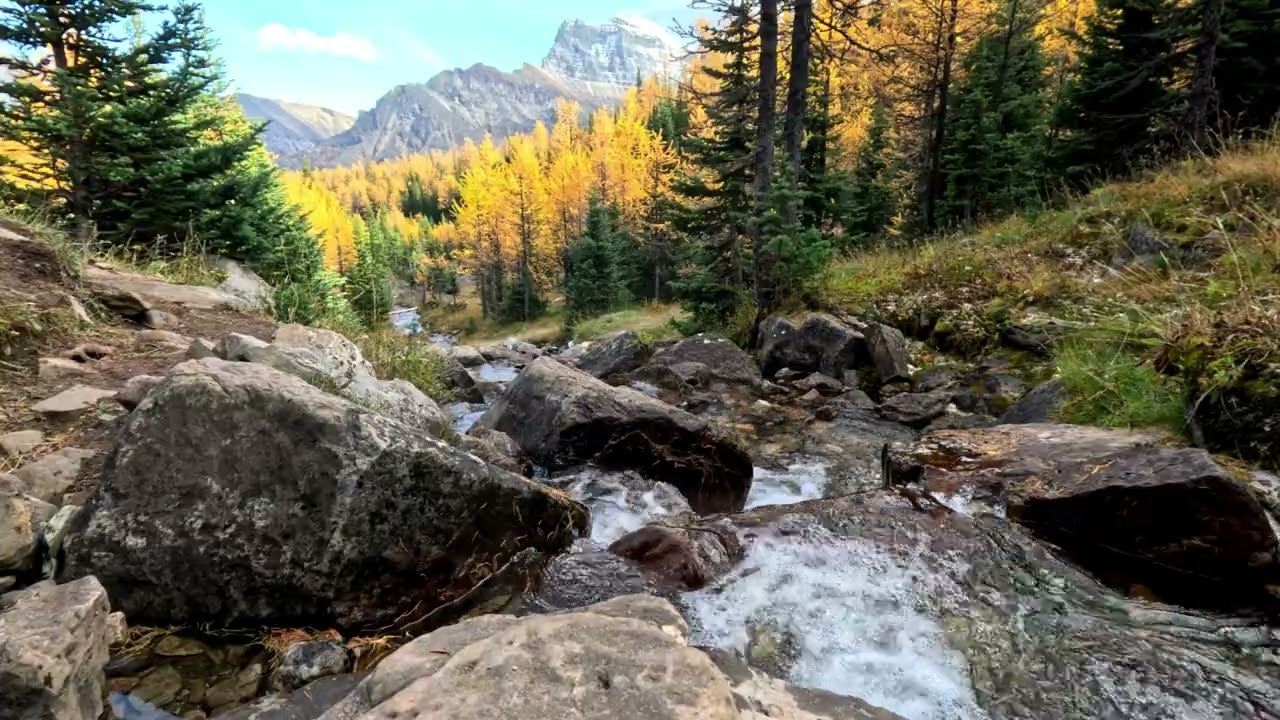 Banff Creek Soundscape - 30 Minutes of Rushing Water in Larch Valley
