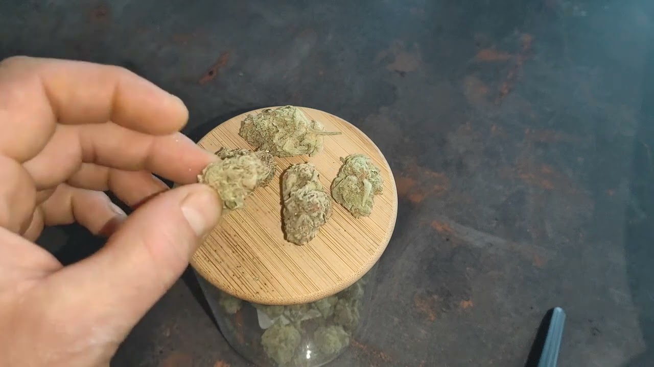 Cheetah piss uk vendor