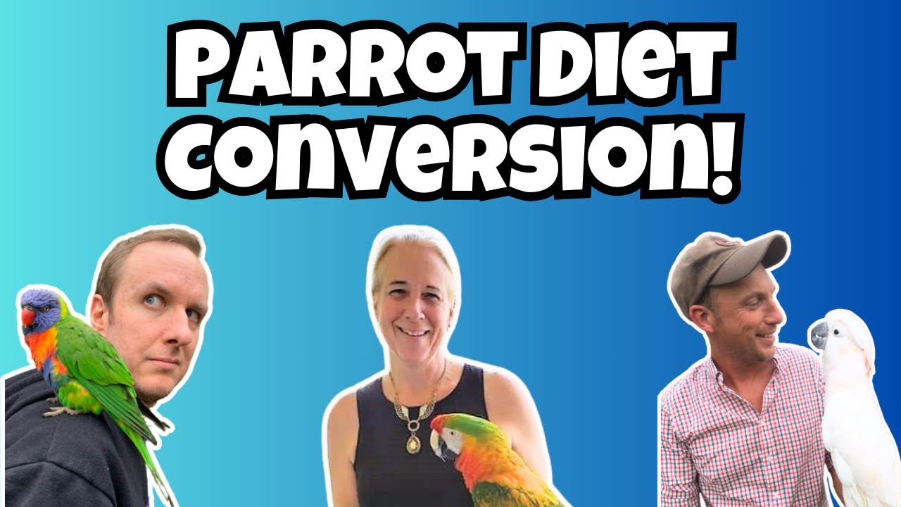 Parrot Diet Conversion Tips | Interview With Dr Jason Crean & Robin Sullivan | TheParrotTeacher
