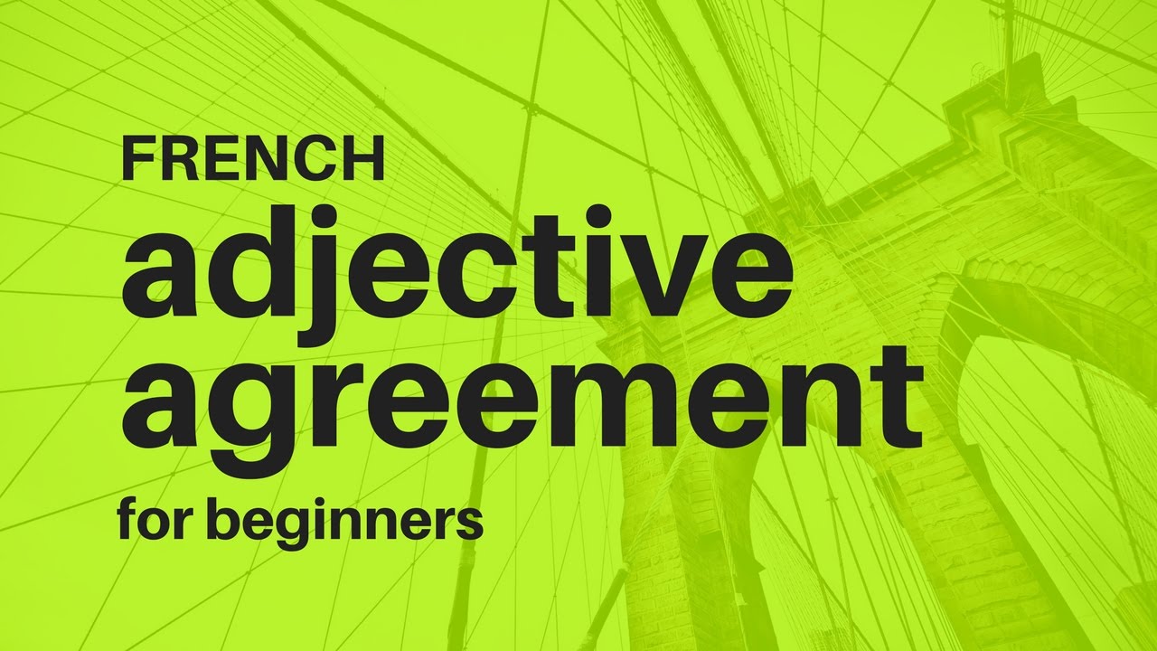 French adjective agreement basic