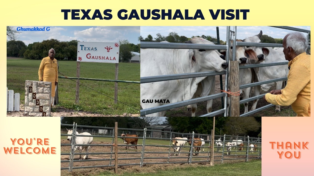 Texas Gaushala Visit