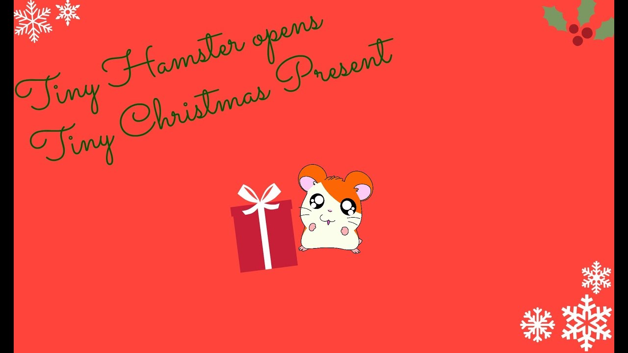 Tiny Hamster opens Tiny Christmas Present | TuxedoHammy