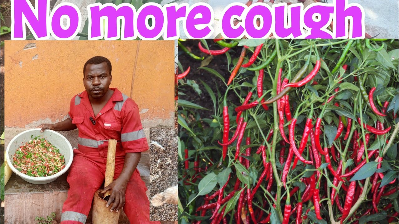 КАК ЛЕЧИТЬ УПРЯМЫЙ КАШЕЛЬ (УР) ОРГАНИЧЕСКИМИ СРЕДСТВАМИ С ИСПОЛЬЗОВАНИЕМ ЧЕСНОКА, ИМБИРЯ, АЛОЭ ВЕ...