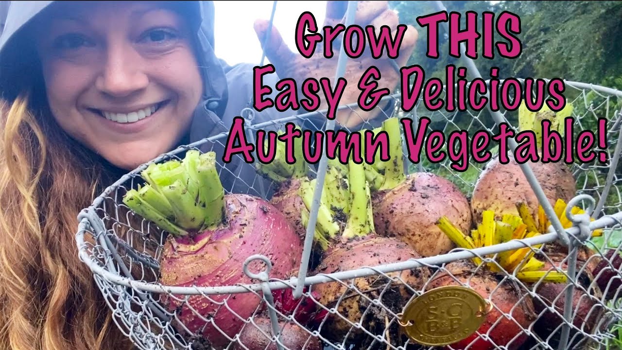 How to Grow Swede: A Delicious MUST GROW Autumn Vegetable!