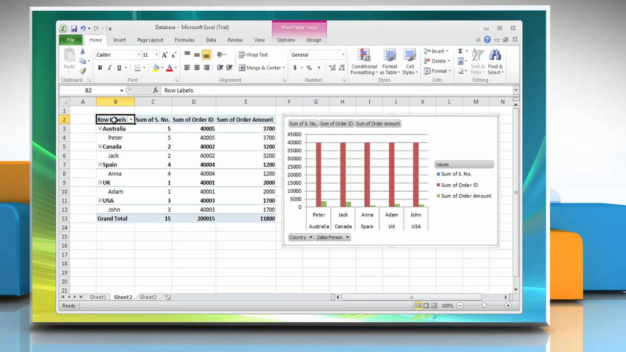 Microsoft&reg; Excel 2010: How to delete a PivotTable or PivotChart report on Windows&reg; Vista?