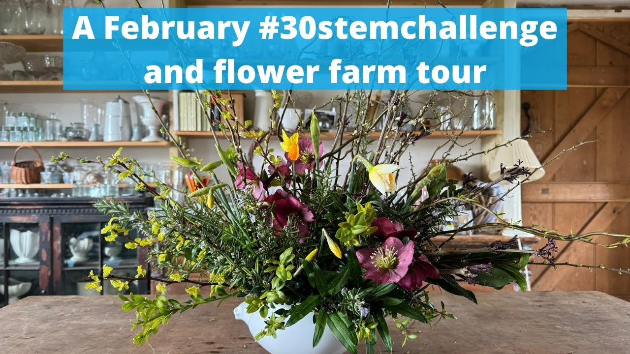 Давайте прогуляемся по саду в феврале и подстрижем кусты для #30stemchallenge