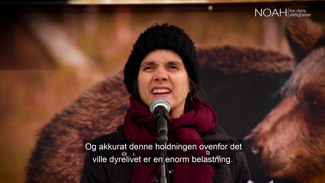 NOAHs Markering for de ville dyrene 2019: Siri Martinsen