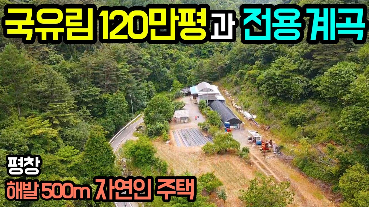 E922(문의033-344-5449)나홀로 계곡,국유림 접한 남향의 황토찜질방 자연인주택/해발 500m/넓은 텃밭/정자/비닐하우스/평창읍내 약 10분/전원주택 급매 6억 2천/매매
